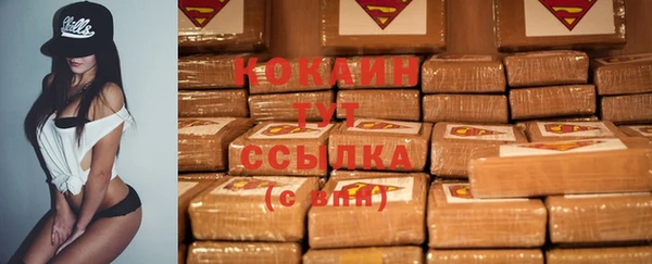 ешки Каменногорск