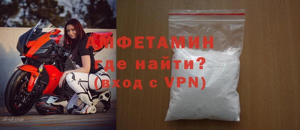 индика Каменка