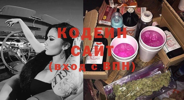 индика Каменка