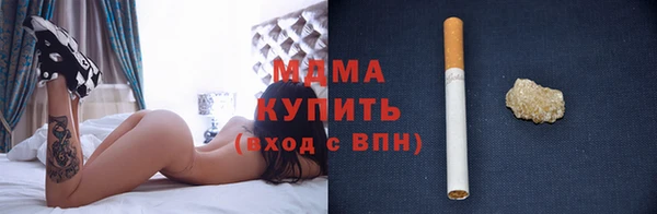 индика Каменка