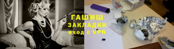 индика Каменка