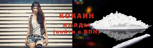 мяу мяу мука Тайга