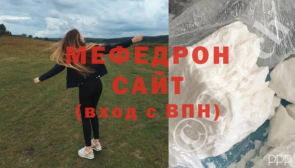 индика Каменка