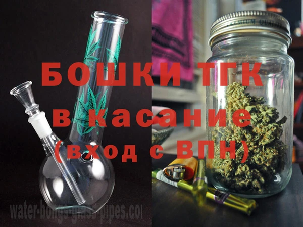 индика Каменка