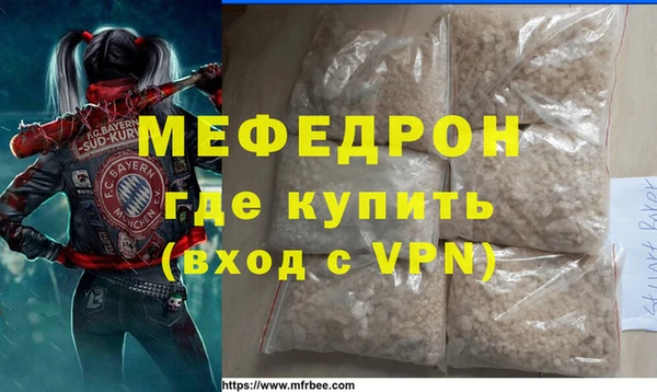 индика Каменка