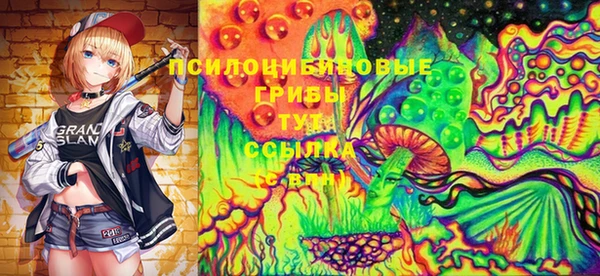 2c-b Каменск-Шахтинский