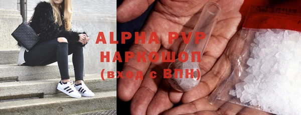индика Каменка