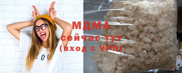 индика Каменка