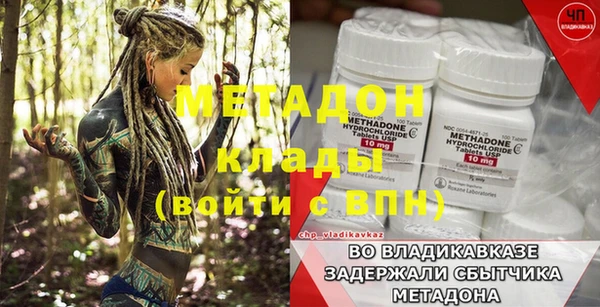 индика Каменка