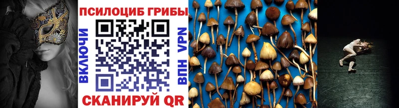 Галлюциногенные грибы Psilocybe  Ставрополь 